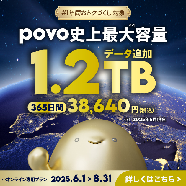 【期間限定】データ追加1.2TB(365日間)